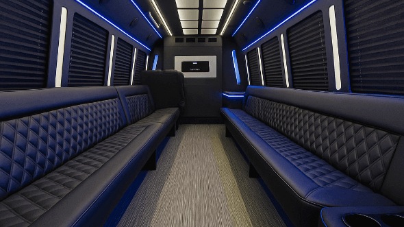 phoenix 20 passenger party bus