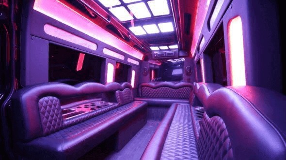 surprise 15 passenger party bus interior