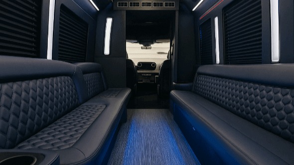 surprise 25 passenger party bus interior