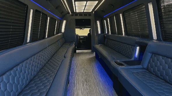 surprise 50 passenger party bus rental