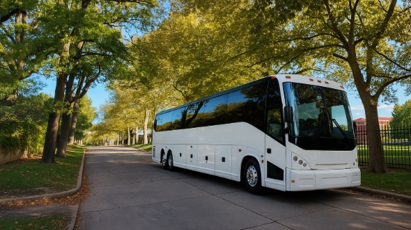 surprise bachelor and bachelorette party bus rentals